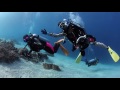 Diving Komodo 2016