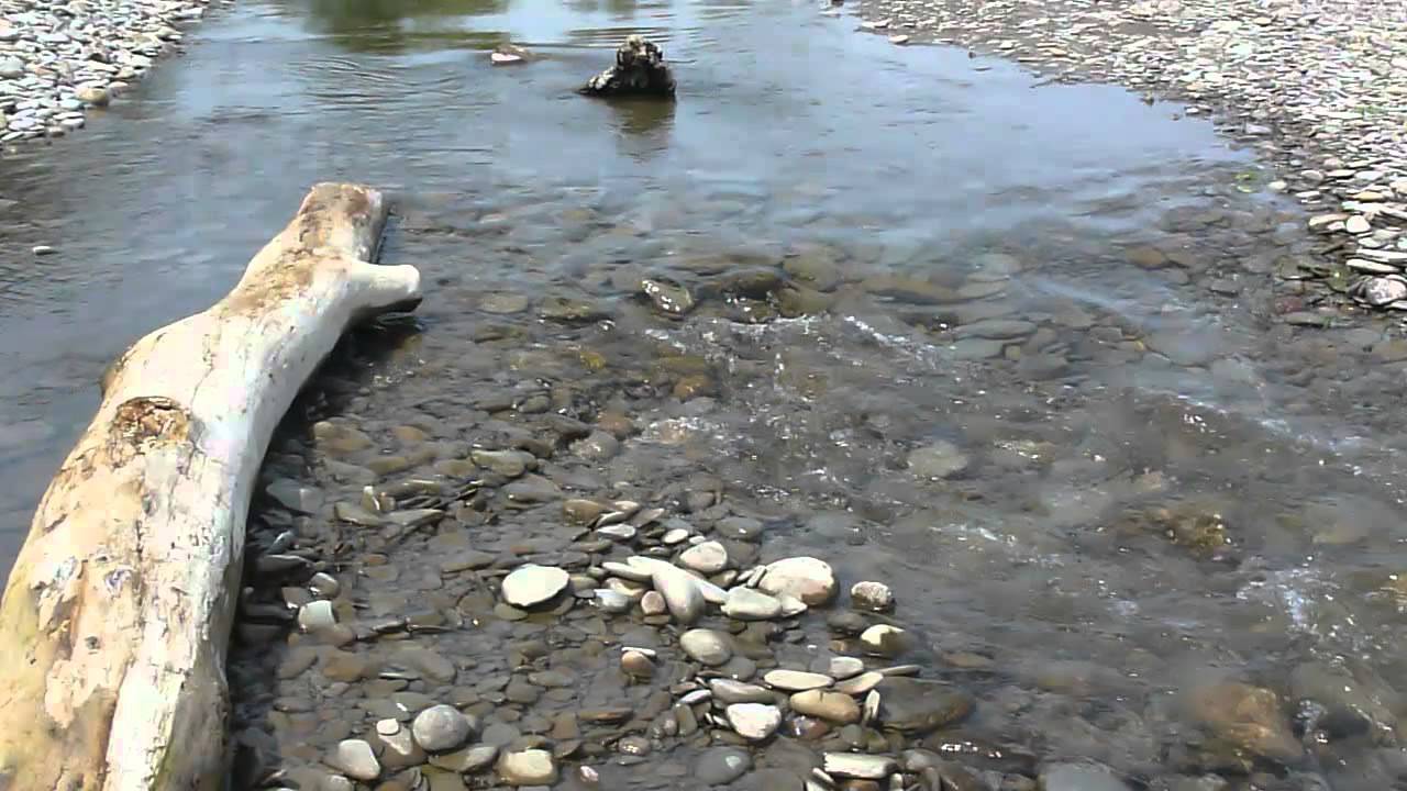 "Phaser Rave" by IntrepidErie