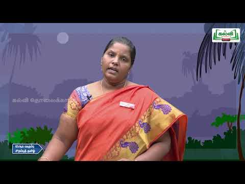 Class 12 | வகுப்பு 12 |தடையும் விடையும் | சிறப்புத்தமிழ் | தமிழ் ஆங்கிலம் தொடரமைப்பு ஒப்பீடு|KalviTv