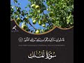 2021      سورة الملك قريبا محمد عبده