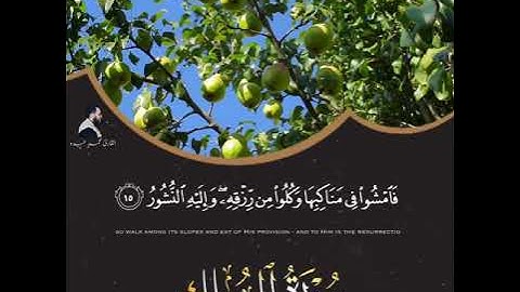 2021 MOHAMED ABDO SURAT AL-MULK - سورة الملك قريباً | محمد عبده