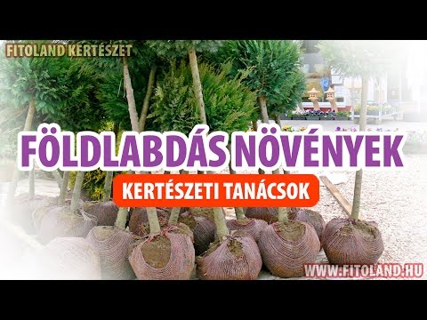 Videó: Modern DIY kabát állvány