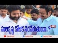 Does  Chandrababu Fulfill Nandamuri Harikrishna Wish About Jr NTR?