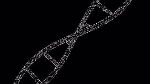 DNA Helix Rotation Pack Stock Motion Graphics
