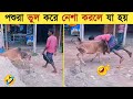        messed with wrong enemy part16  animals fight  mayajaal