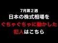 【乱高下】日本の株式市場をゆがめる犯人は...やはり機関投資家！