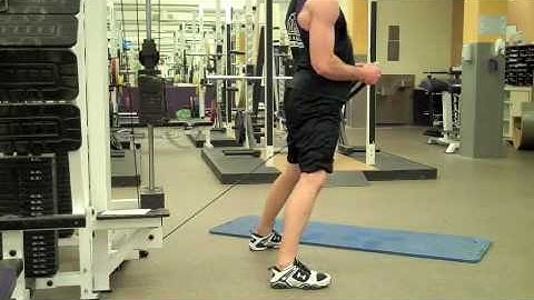 Self Made Exercise Index:  Cable Back Extensions