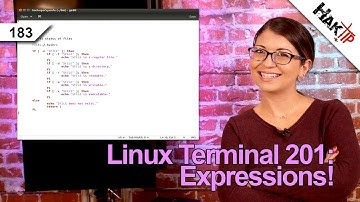 Expressions in Shell Scripts | Linux Terminal 201 - HakTip 183