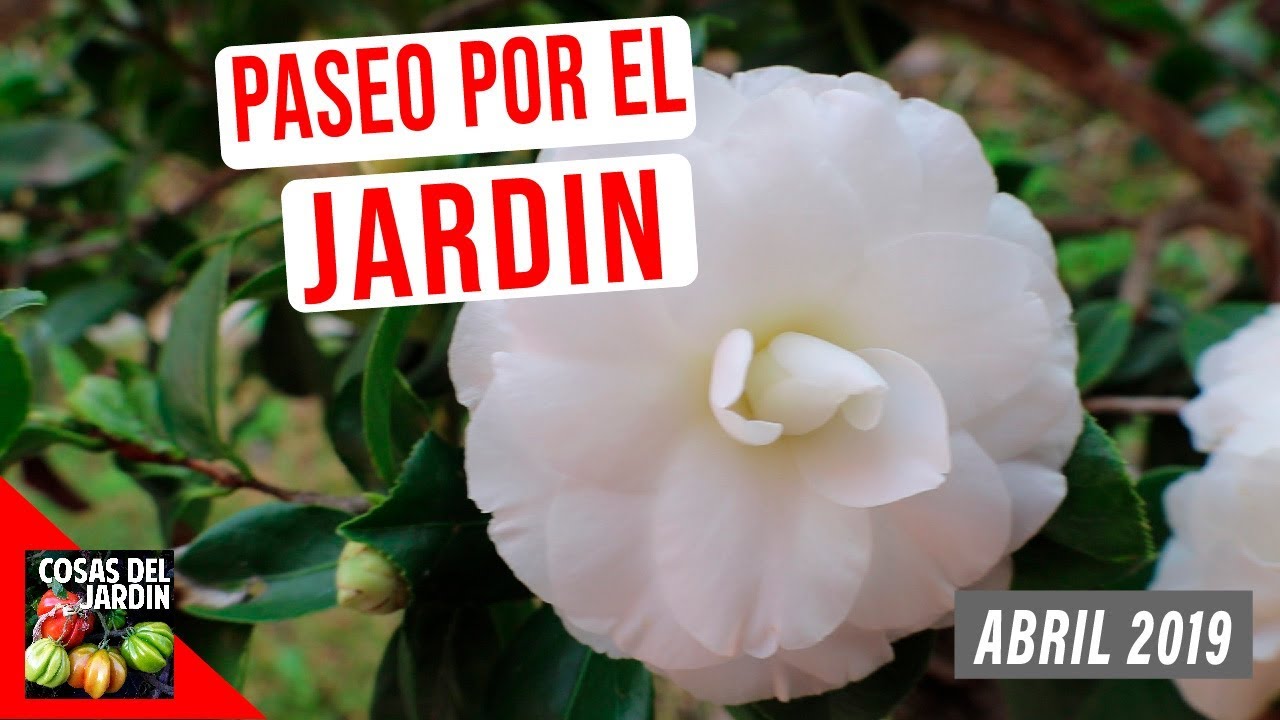PASEO POR EL JARDIN | ABRIL 2019