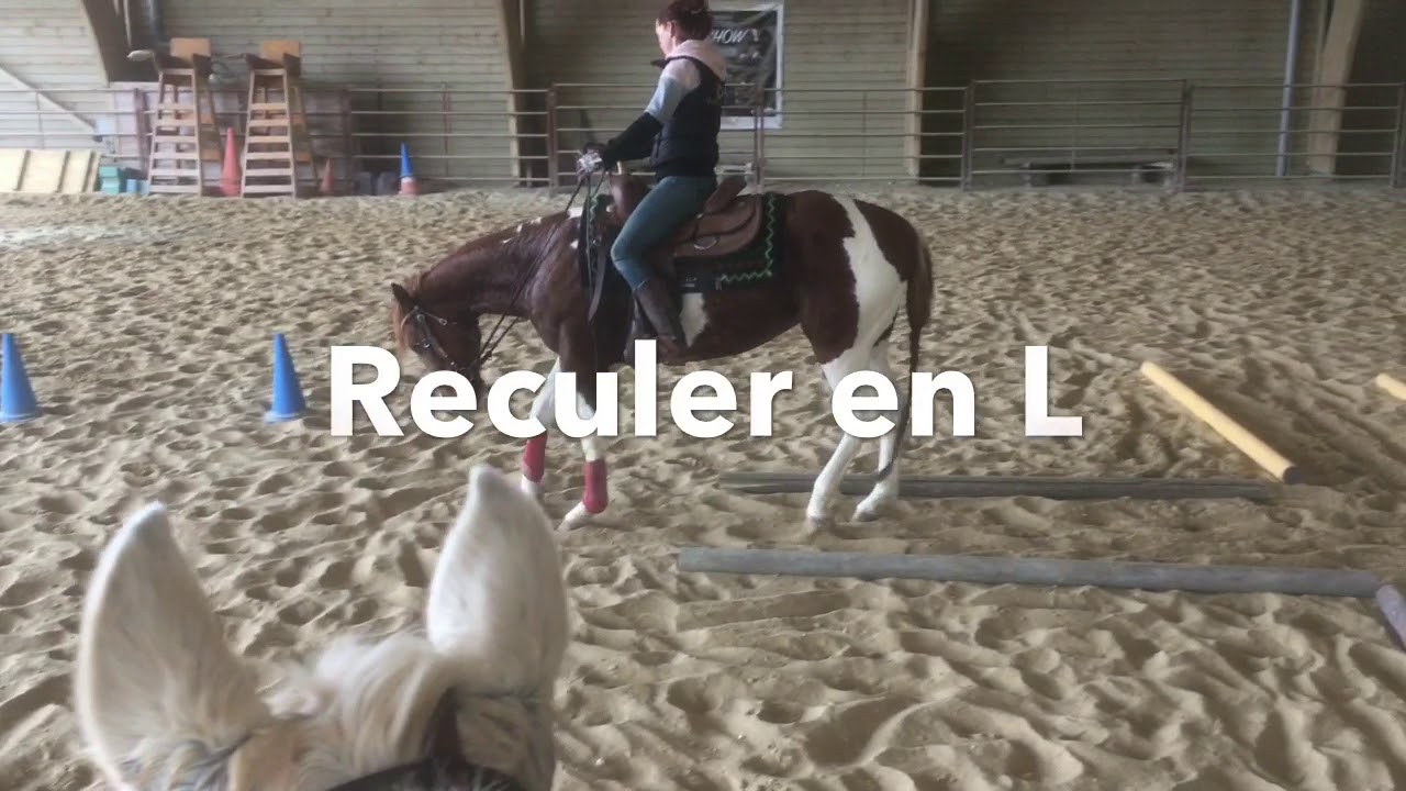 Pas de côté, reculer