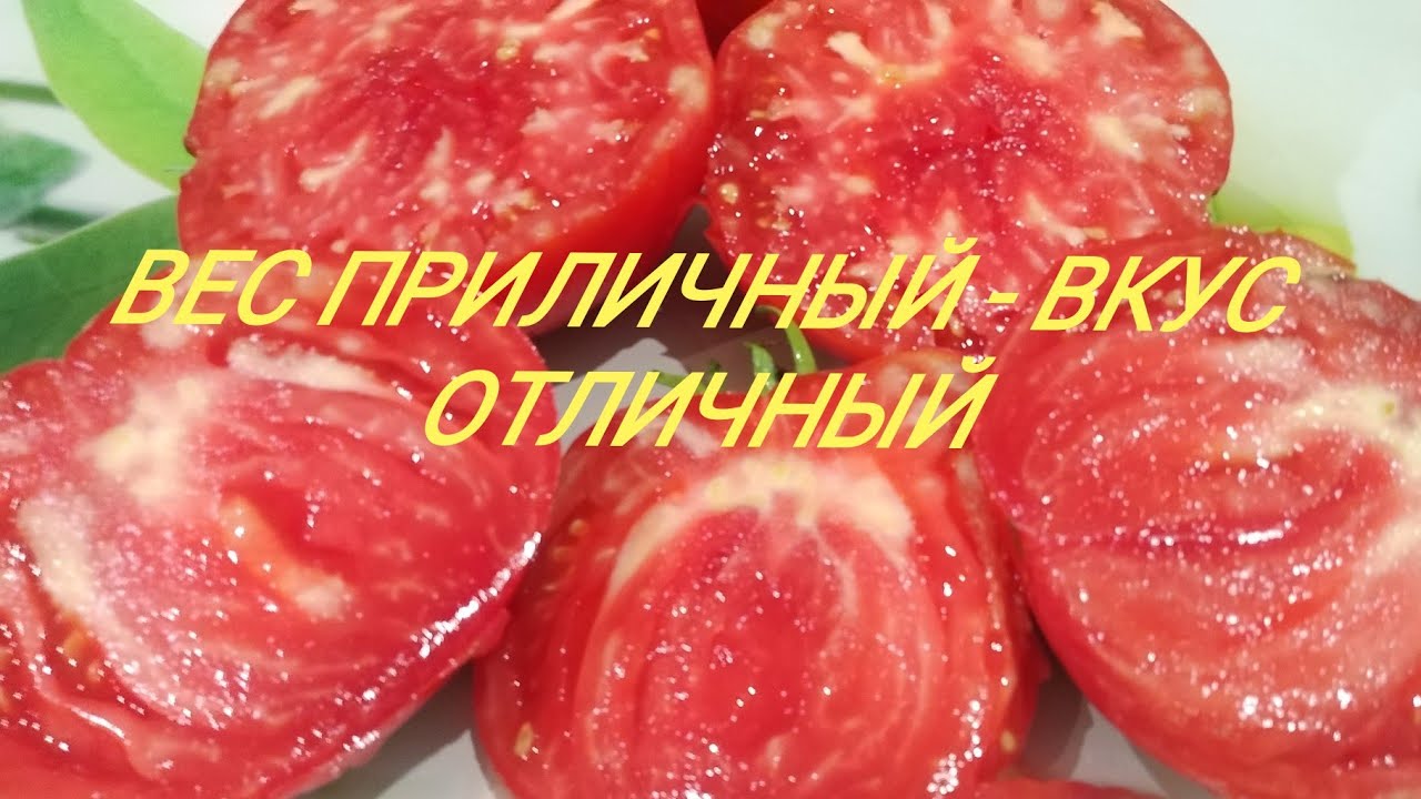 Крупноплодный томат Спецназ. Вес приличный, вкус отличный. Сибирский сад. -YouTube
