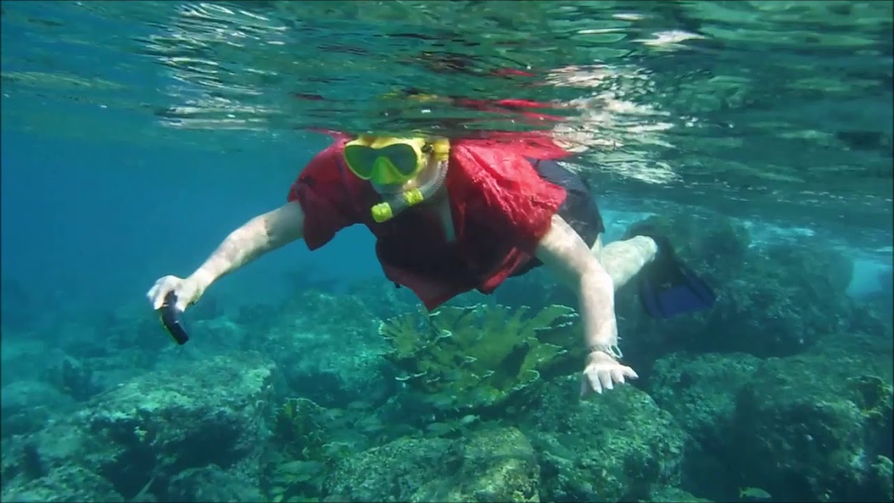 Snorkeling from the beach of the Curacao Marriott Beach Resort, March
