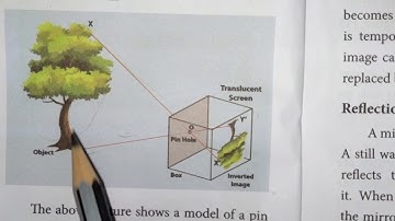 Class :7 Science Term 3 Unit -1.Part –1.