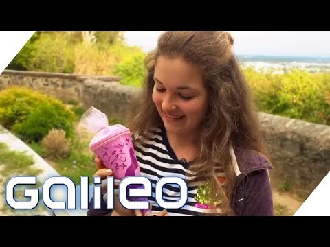 Bestehst du die Grundschule? Wie viel wissen Erwachsene noch? | Galileo | ProSieben