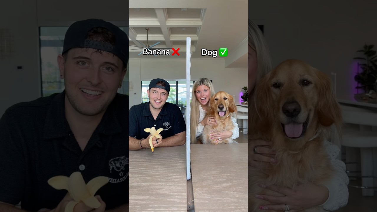 He was not expecting an ACTUAL dog 🤣🐶 #shorts #funny #challenge