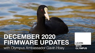 OM-D Firmware Updates with Gavin Hoey