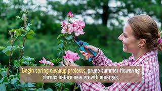 Late Winter Landscaping Tips