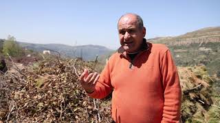 Batloun Cooperative, Werhaniyeh Cooperative, Al Barouk Cooperative: Supporting The Farmers of Chouf