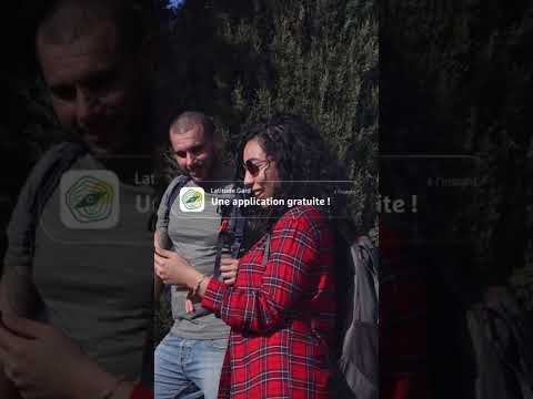 نماگرفت