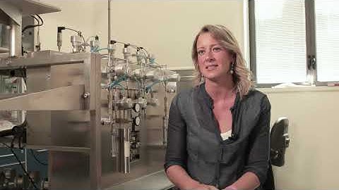 International Master Program in "Marine Sciences" - Ilaria Tani
