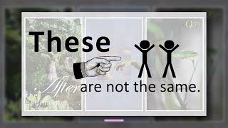 The Dynamics and Distinctives of Q50 Community Church