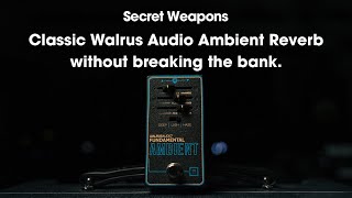 Walrus Audio's new reverb is a steal and sounds amazing on every instrument | Secret Weapons