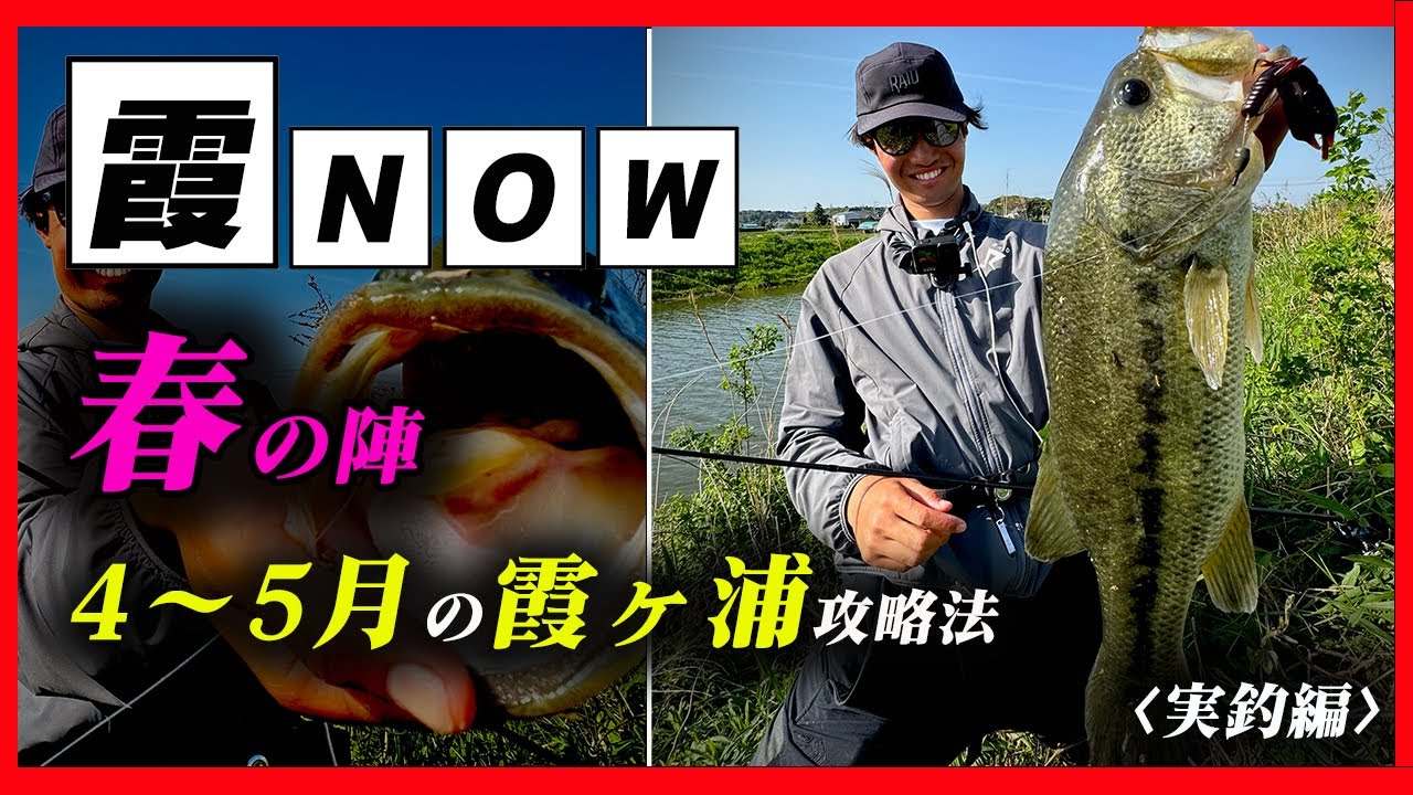 (アラバマ封印!?) 春の霞ヶ浦バス釣り攻略法！