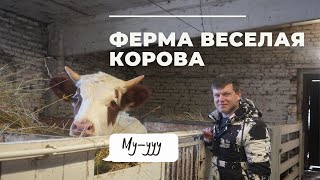 Ферма Веселая корова | Как работает и развивается