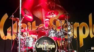 White Purple - Hameln - Sumpfblume - Chris Drum-Solo  23.01.2016