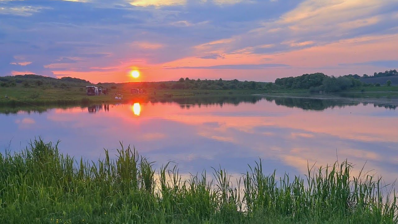 Риболовля в перший день літа на ставку