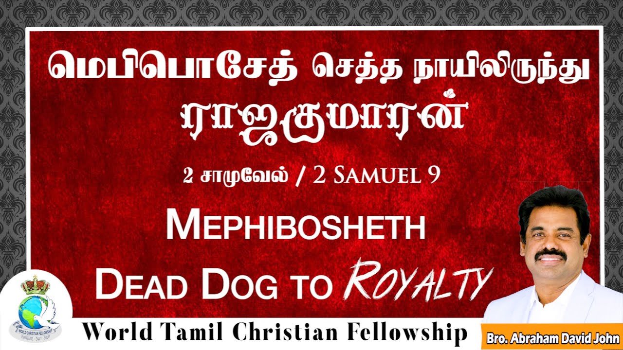 Dead Dog to Royalty