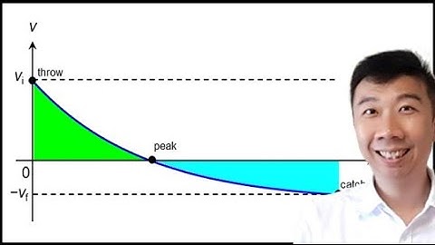 2.4.2 Vertical Throw with Air Resistance (Graph)