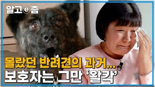 '개에게 충격적인 것을 먹였다' 어떻게 사람이 이럴 수 있을까?┃세상에 나쁜 개는 없다┃알고e즘