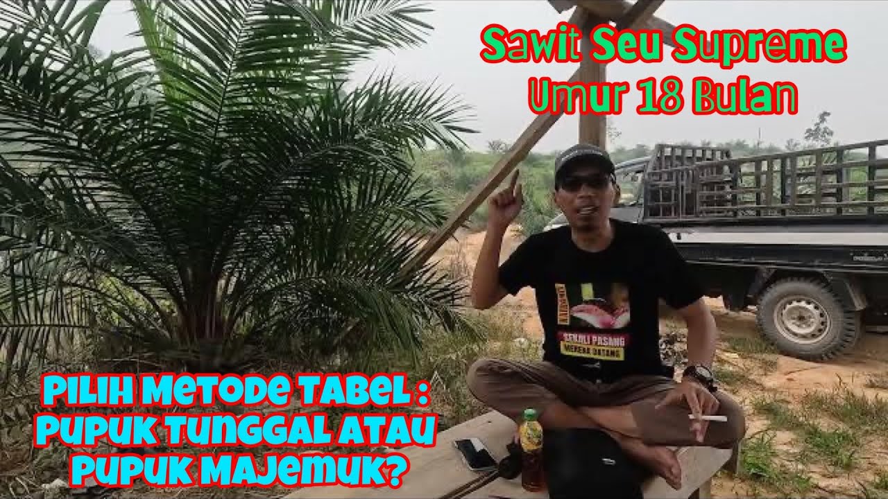 TERBAIK!!! Pilih Metode Tabel Pupuk Tunggal atau Tabel Pupuk Majemuk Untuk Vegetatif TBM Sawit