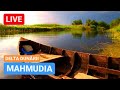 🔴 LIVE din MAHMUDIA - DELTA DUNĂRII