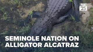 'Alligator Alcatraz' migrant detention center criticized by Seminole Nation of Oklahoma