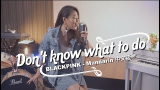 BLACKPINK - 'Don't Know What To Do' 中文版 (Chinese Mandarin Cover) by Lead-Coach Relyne 万里莹