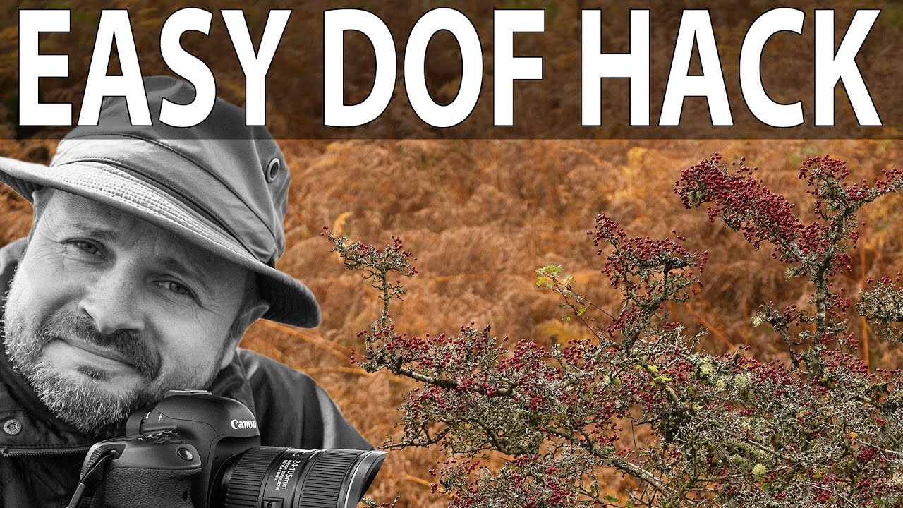 Сшивка телеобъектива для изоляции объекта съёмки | ЛЕГКИЙ ХАК С ГРИПОМ