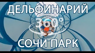 Лазаревское, Сочи,  Дельфинарий шоу с дельфинами в Сочи Парке