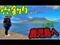 【穴釣り】錦江湾はオオモンハタの宝庫！穴釣りで根魚いっぱい釣れました♪