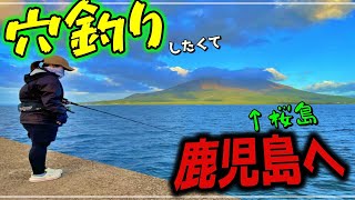 【穴釣り】錦江湾はオオモンハタの宝庫！穴釣りで根魚いっぱい釣れました♪