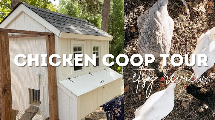 Take a Virtual Tour of an Amazing Backyard Chicken Coop!