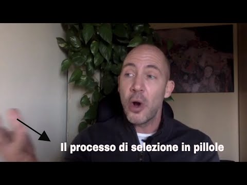 Cosa cercano le aziende nel tuo Curriculum e al Colloquio?