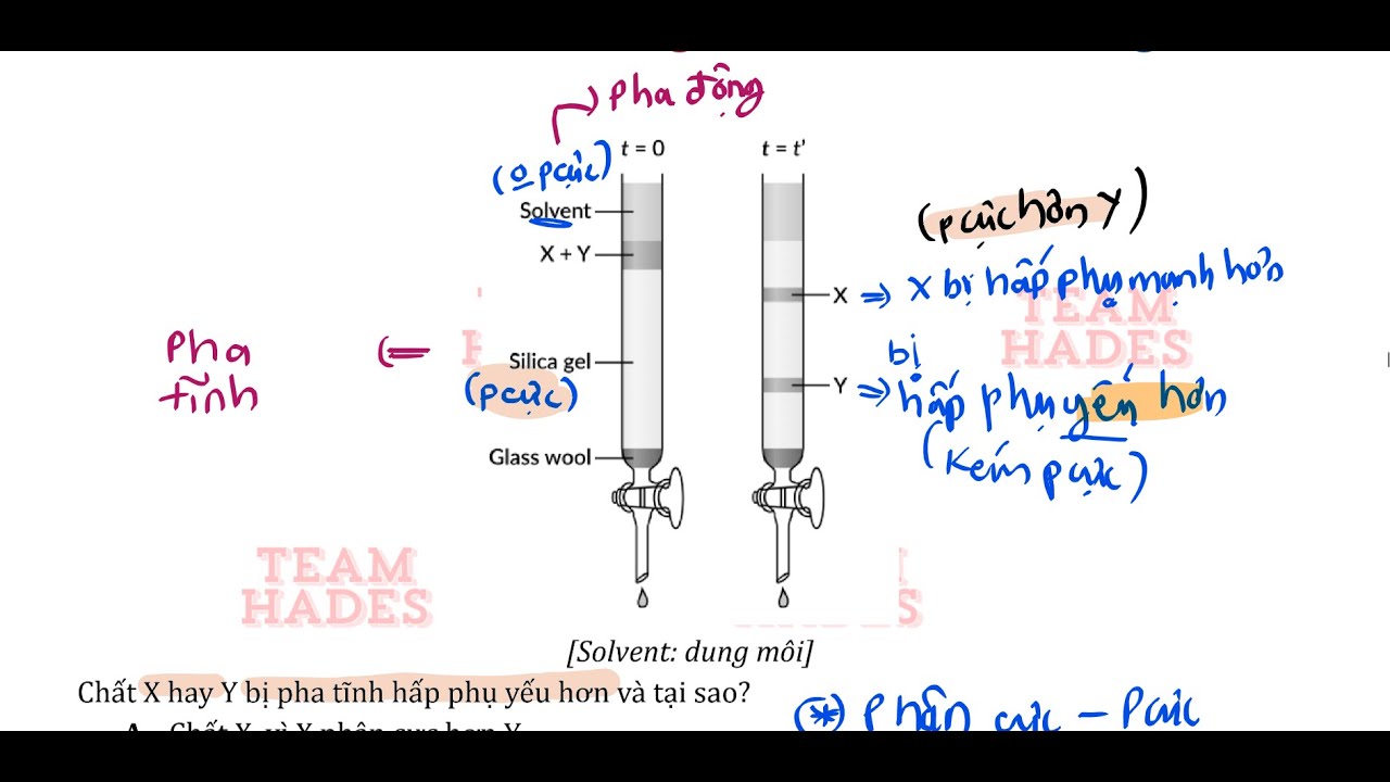 50 CÂU ĐỒ THỊ & HÌNH VẼ HOÁ HỌC - youtube