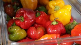 Manna Food Center To Open Another Location