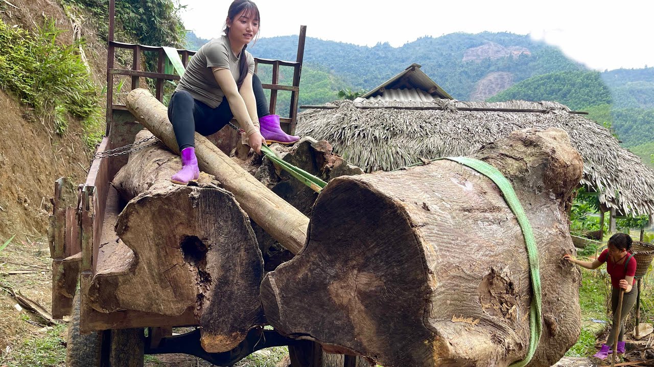 Girl uses farm machinery to transport wood, disassemble and clean the engine