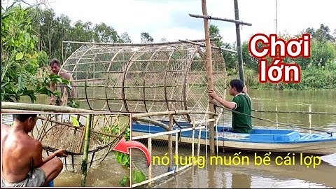 Chơi lớn đặt lợp siêu to khổng lồ || nó vô tung muốn bể cái lợp || Minh khôi vlogs