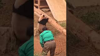 #video #viral #shorts #trending #live #subscribe #music #funny #memes #youtube #viralvideo