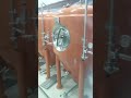 Installation of customized 500L beer equipment #beerbrewing #brewingsystem #beerequipment