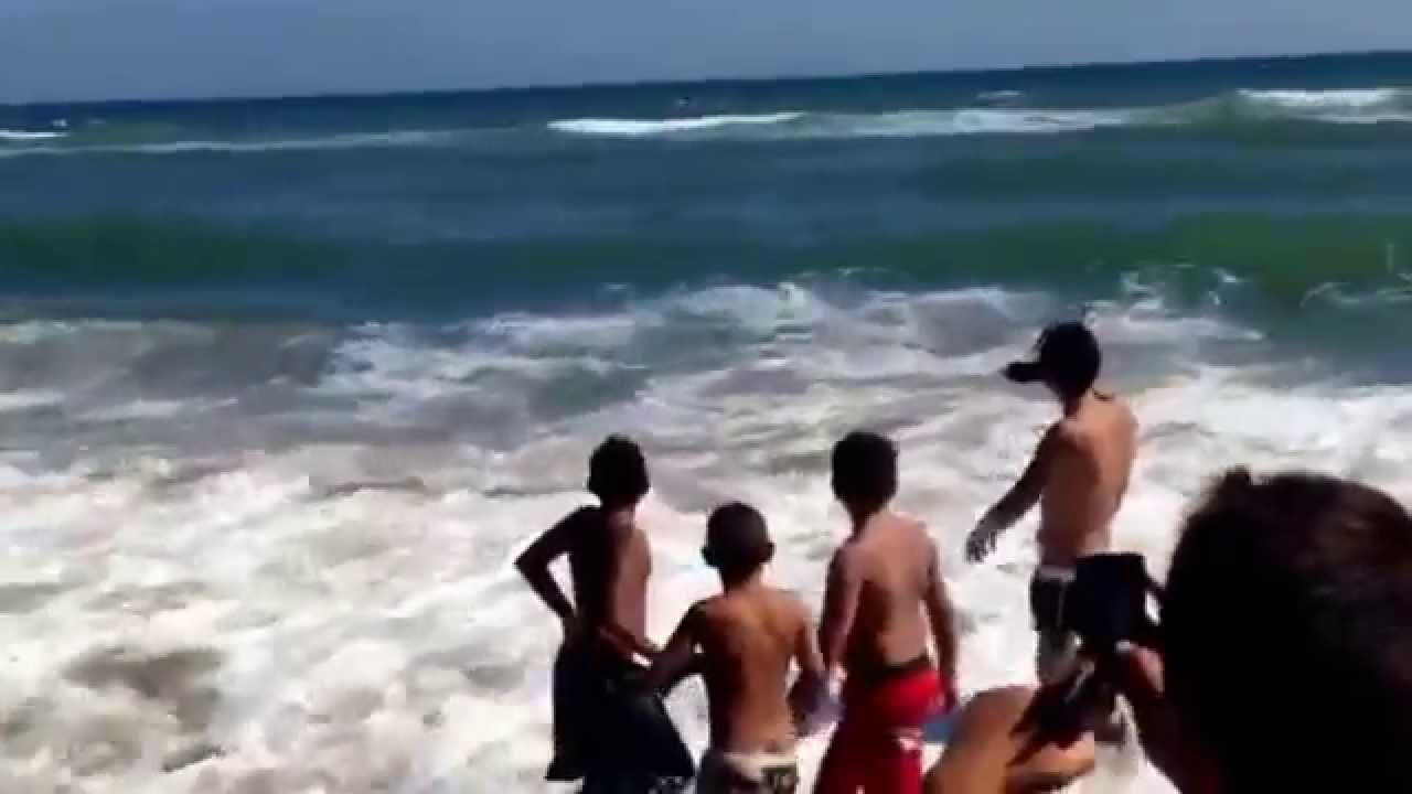 Tintorera en Castelldefels.